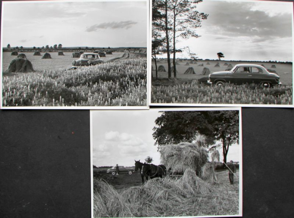 Borgward Isabella at Lueneburg Heath 1956 seven Factoryphotos (10162)